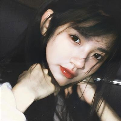 野兽家族第二季