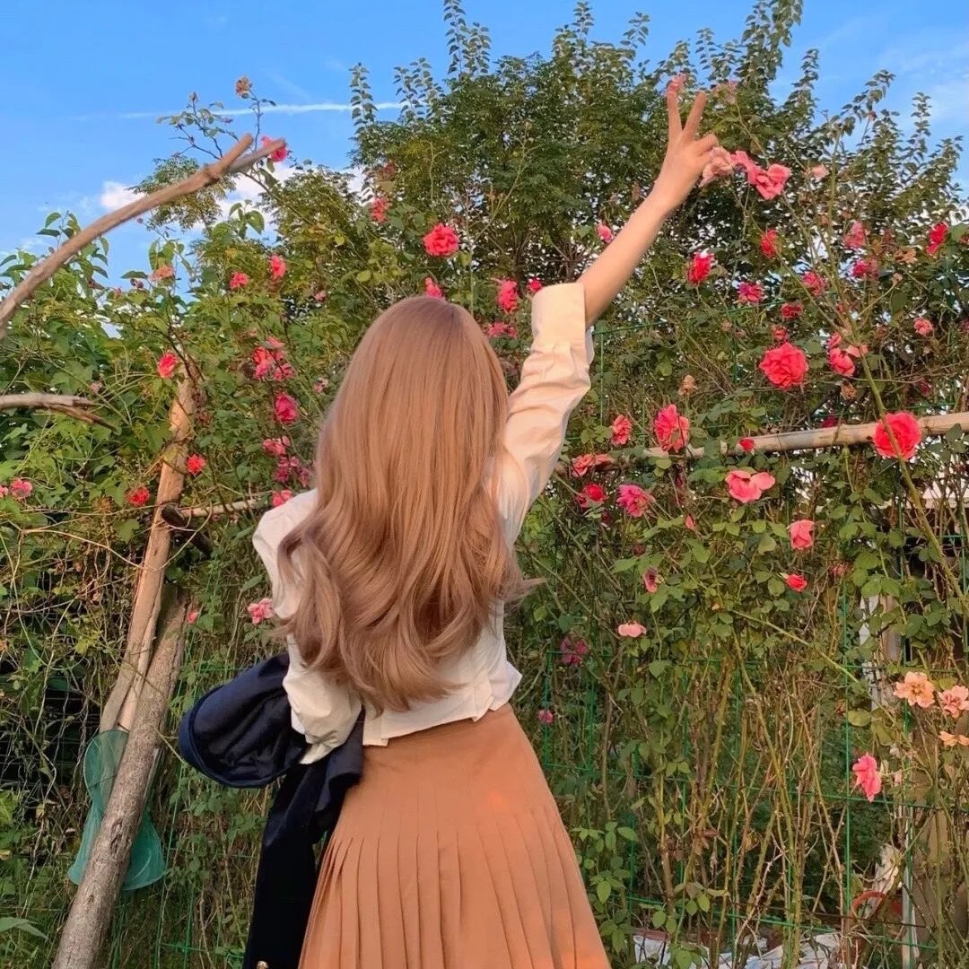 熊出没·狂野大陆